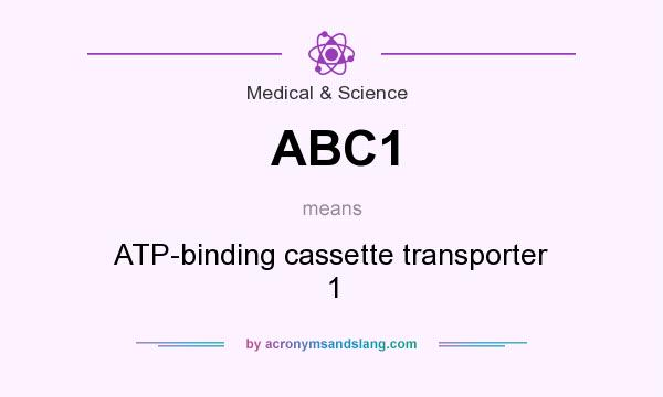 What does ABC1 mean? It stands for ATP-binding cassette transporter 1
