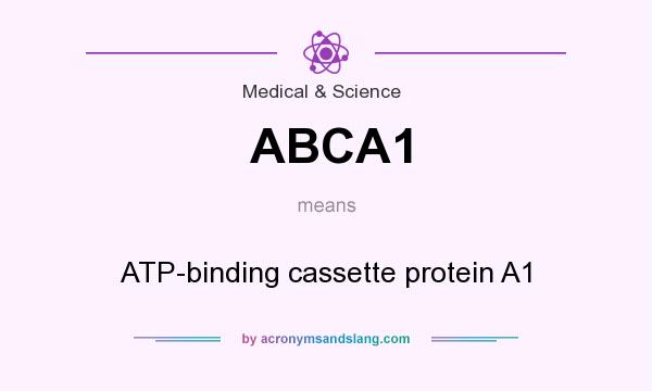 What does ABCA1 mean? It stands for ATP-binding cassette protein A1