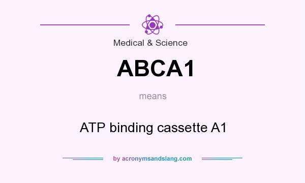 What does ABCA1 mean? It stands for ATP binding cassette A1
