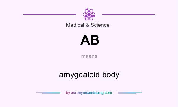 What does AB mean? It stands for amygdaloid body