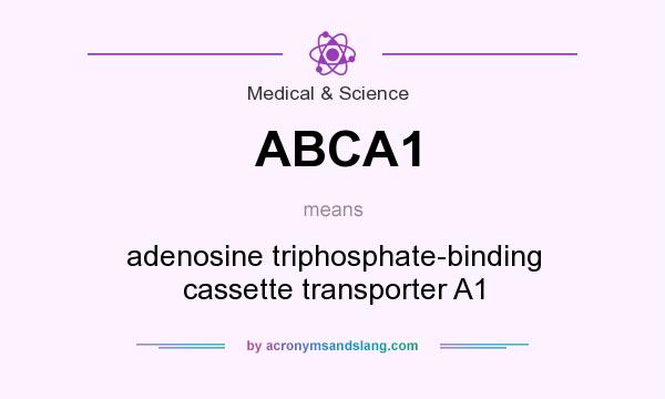 What does ABCA1 mean? It stands for adenosine triphosphate-binding cassette transporter A1
