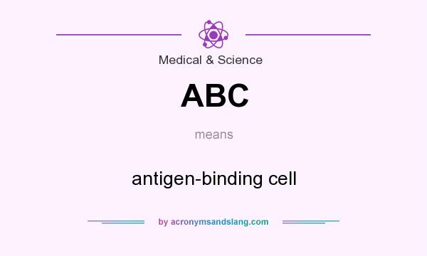 What does ABC mean? It stands for antigen-binding cell