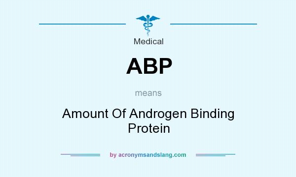 What does ABP mean? It stands for Amount Of Androgen Binding Protein