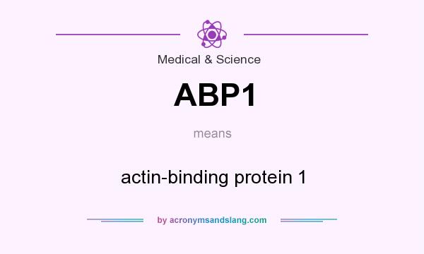 What does ABP1 mean? It stands for actin-binding protein 1