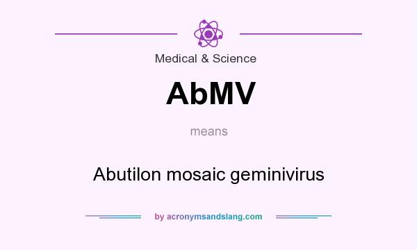 What does AbMV mean? It stands for Abutilon mosaic geminivirus