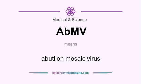 What does AbMV mean? It stands for abutilon mosaic virus