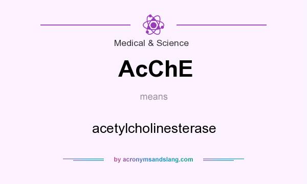 What does AcChE mean? It stands for acetylcholinesterase