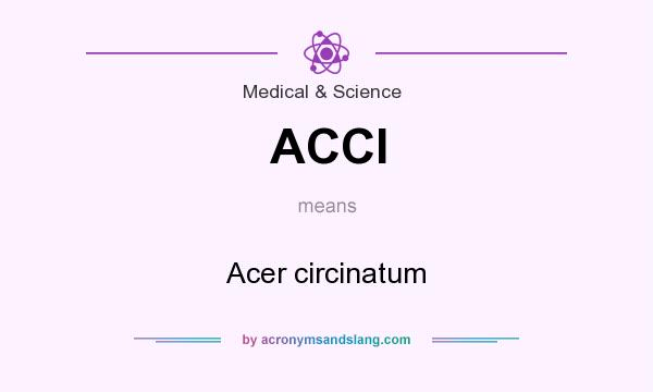 What does ACCI mean? It stands for Acer circinatum
