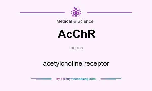 What does AcChR mean? It stands for acetylcholine receptor