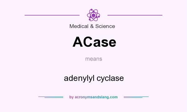 What does ACase mean? It stands for adenylyl cyclase