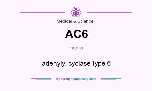 What does AC6 mean? It stands for adenylyl cyclase type 6