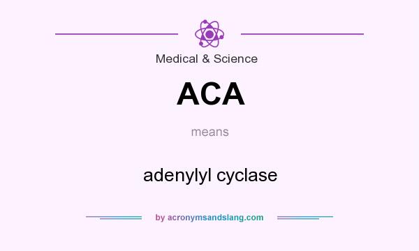 What does ACA mean? It stands for adenylyl cyclase