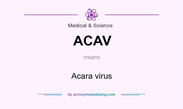 What does ACAV mean? It stands for Acara virus