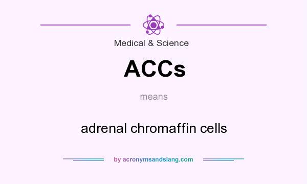 What does ACCs mean? It stands for adrenal chromaffin cells