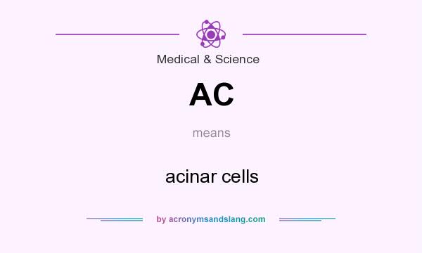 What does AC mean? It stands for acinar cells