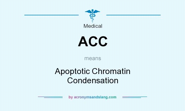 What does ACC mean? It stands for Apoptotic Chromatin Condensation