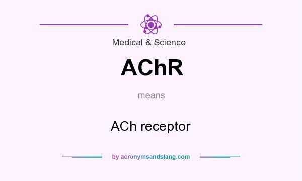 What does AChR mean? It stands for ACh receptor