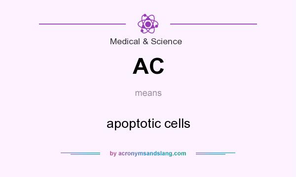 What does AC mean? It stands for apoptotic cells