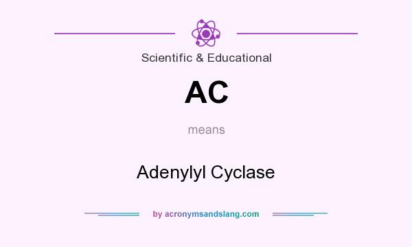 What does AC mean? It stands for Adenylyl Cyclase
