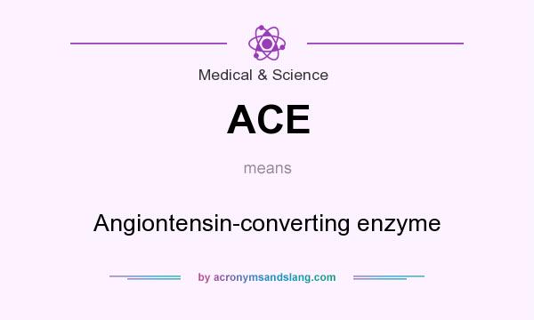 What does ACE mean? It stands for Angiontensin-converting enzyme