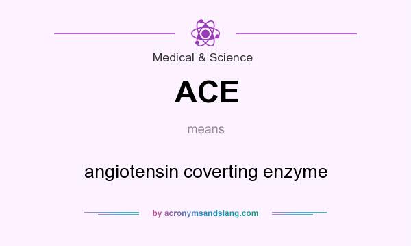 What does ACE mean? It stands for angiotensin coverting enzyme
