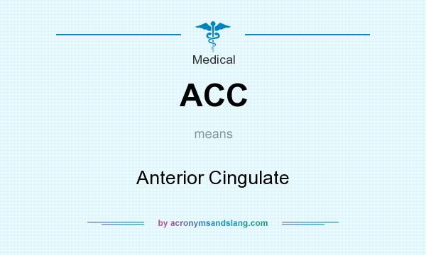 What does ACC mean? It stands for Anterior Cingulate