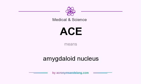 What does ACE mean? It stands for amygdaloid nucleus