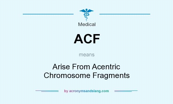 What does ACF mean? It stands for Arise From Acentric Chromosome Fragments