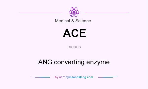 What does ACE mean? It stands for ANG converting enzyme