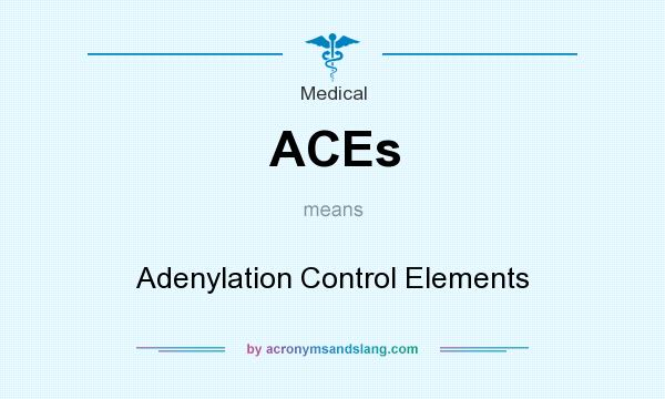 What does ACEs mean? It stands for Adenylation Control Elements