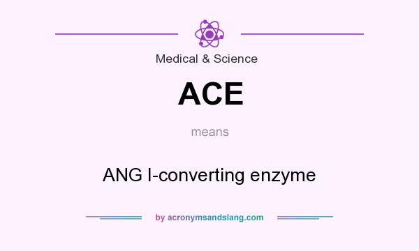 What does ACE mean? It stands for ANG I-converting enzyme