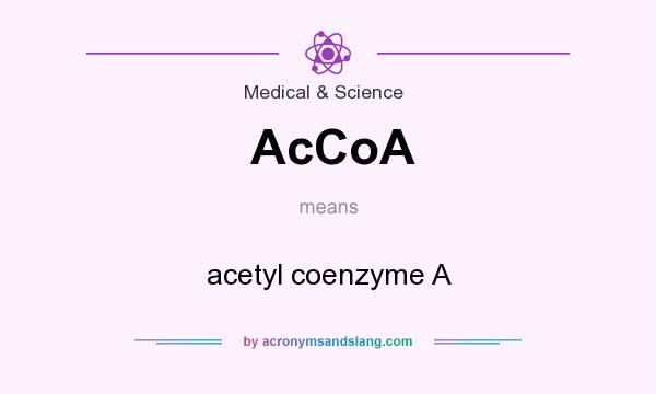 What does AcCoA mean? It stands for acetyl coenzyme A