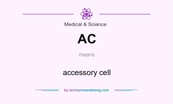 What does AC mean? It stands for accessory cell