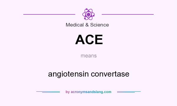 What does ACE mean? It stands for angiotensin convertase