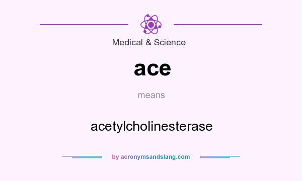 What does ace mean? It stands for acetylcholinesterase
