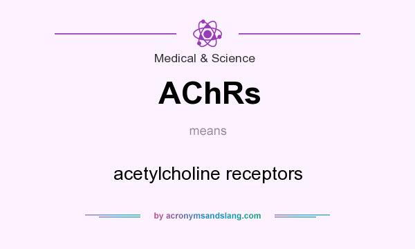 What does AChRs mean? It stands for acetylcholine receptors