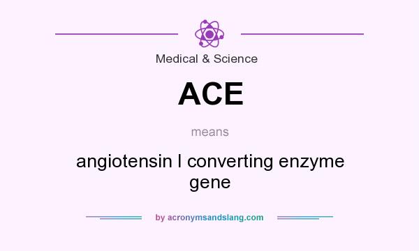 What does ACE mean? It stands for angiotensin I converting enzyme gene