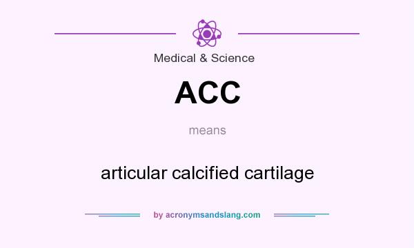 What does ACC mean? It stands for articular calcified cartilage
