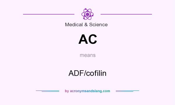 What does AC mean? It stands for ADF/cofilin