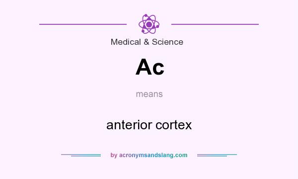 What does Ac mean? It stands for anterior cortex