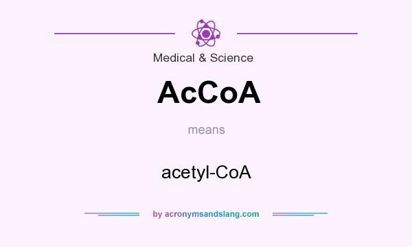 What does AcCoA mean? It stands for acetyl-CoA