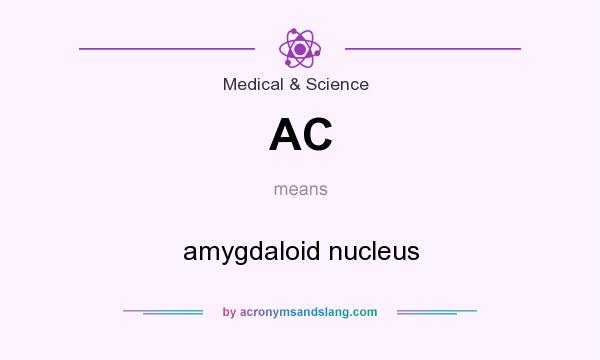 What does AC mean? It stands for amygdaloid nucleus