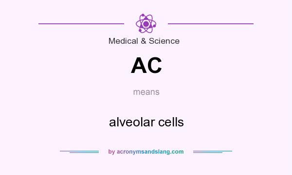 What does AC mean? It stands for alveolar cells