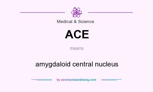 What does ACE mean? It stands for amygdaloid central nucleus