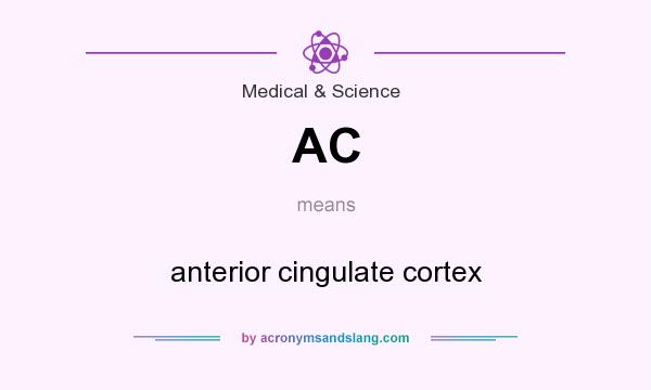 What does AC mean? It stands for anterior cingulate cortex