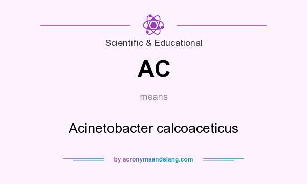 What does AC mean? It stands for Acinetobacter calcoaceticus