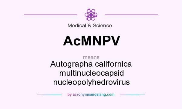 What does AcMNPV mean? It stands for Autographa californica multinucleocapsid nucleopolyhedrovirus