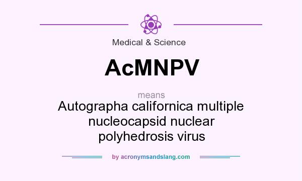 What does AcMNPV mean? It stands for Autographa californica multiple nucleocapsid nuclear polyhedrosis virus