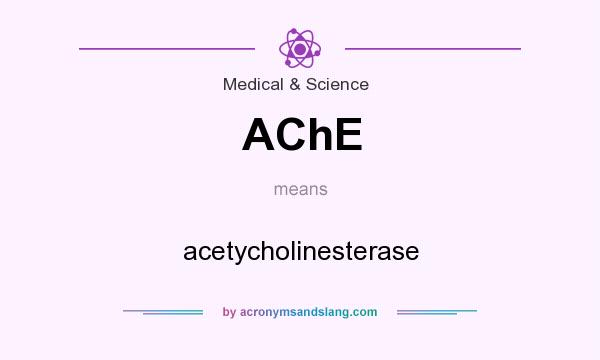 What does AChE mean? It stands for acetycholinesterase