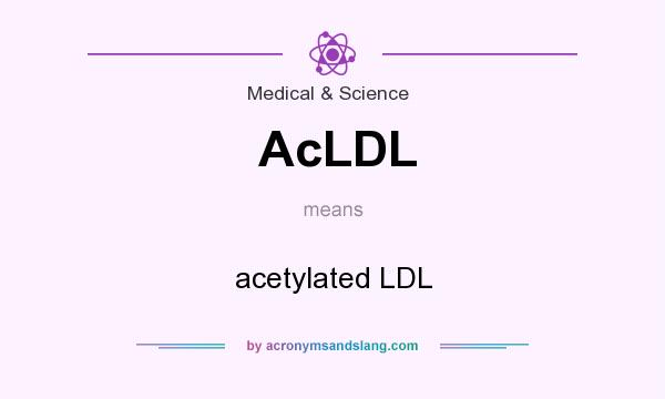 What does AcLDL mean? It stands for acetylated LDL
